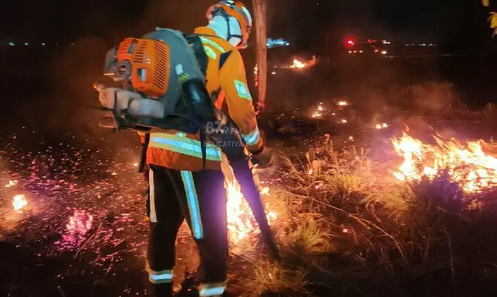 Bombeiros salvam mais de 20 cabeças de gado durante incêndio em Paranatinga