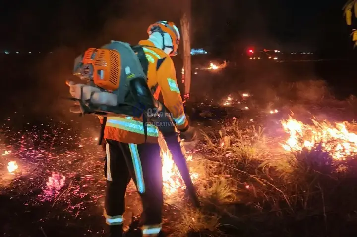 Bombeiros salvam mais de 20 cabeças de gado durante incêndio em Paranatinga