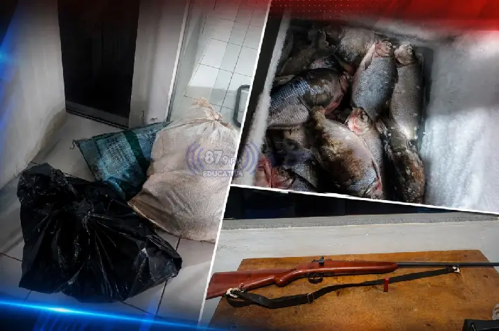 PM apreende 53 peixes, jacaré e arma de fogo durante ocorrência na zona rural entre Paranatinga e Gaúcha do Norte