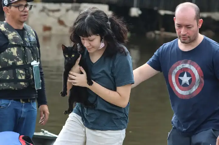 Senado aprova política de proteção a animais resgatados em desastres