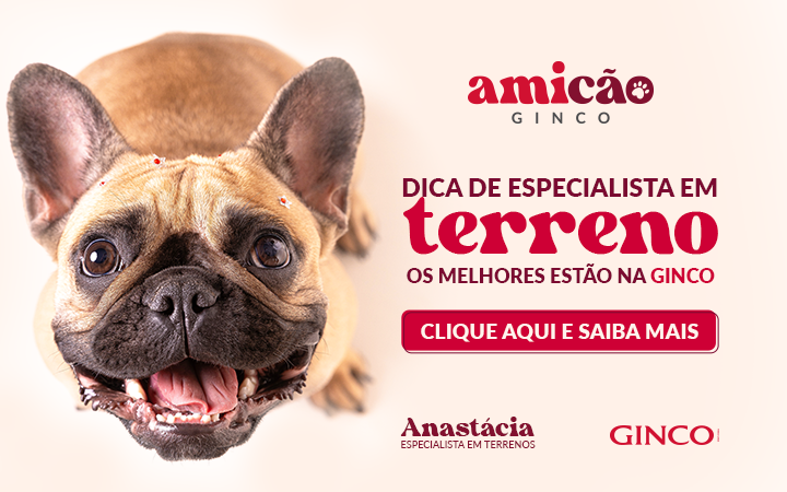 GINCO