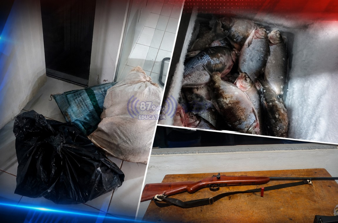 PM apreende 53 peixes, jacaré e arma de fogo durante ocorrência na zona rural entre Paranatinga e Gaúcha do Norte