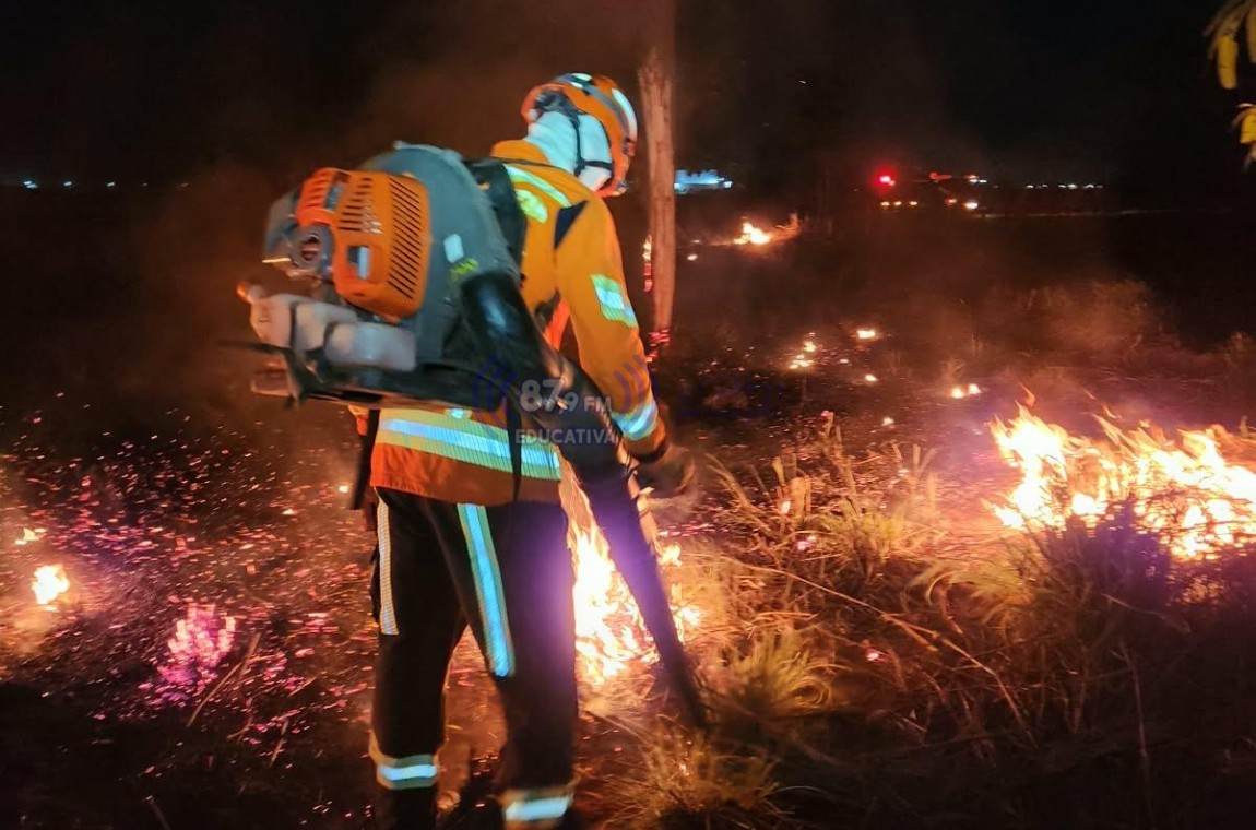 Bombeiros salvam mais de 20 cabeças de gado durante incêndio em Paranatinga